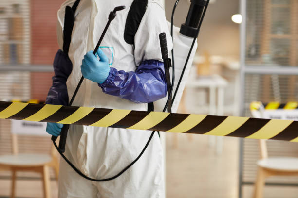 Professional Sewage Cleanup technician working in Sumterville, FL